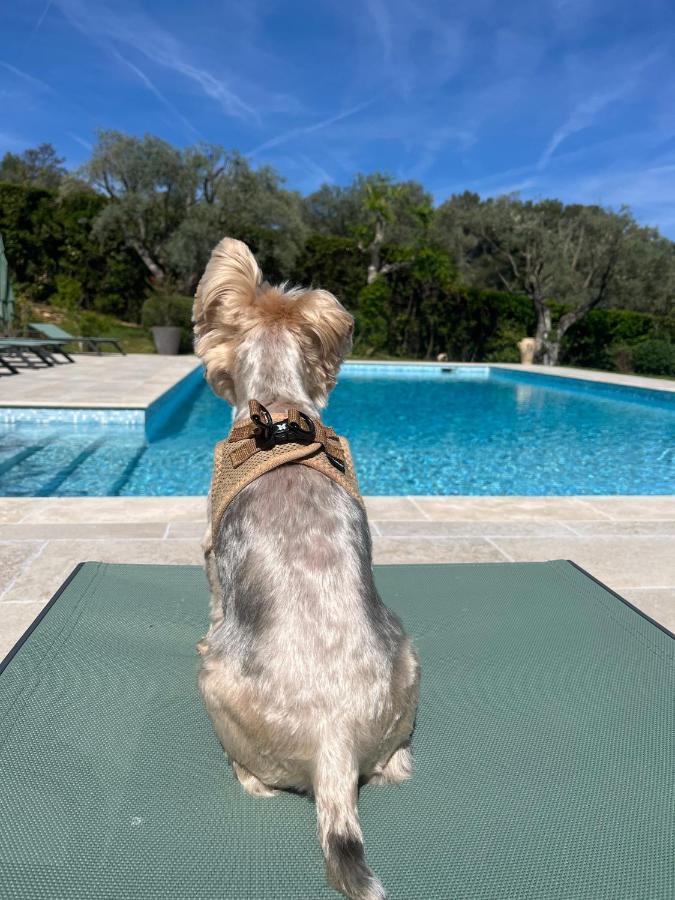 Le Clos Serein Le Beausset Esterno foto