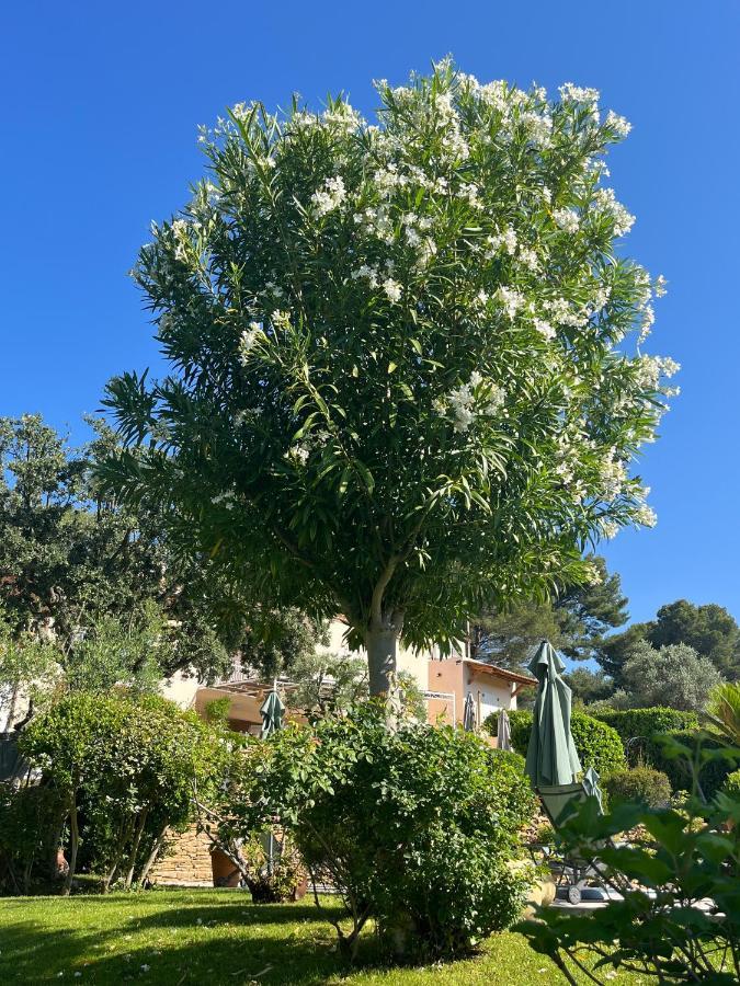 Le Clos Serein Le Beausset Esterno foto
