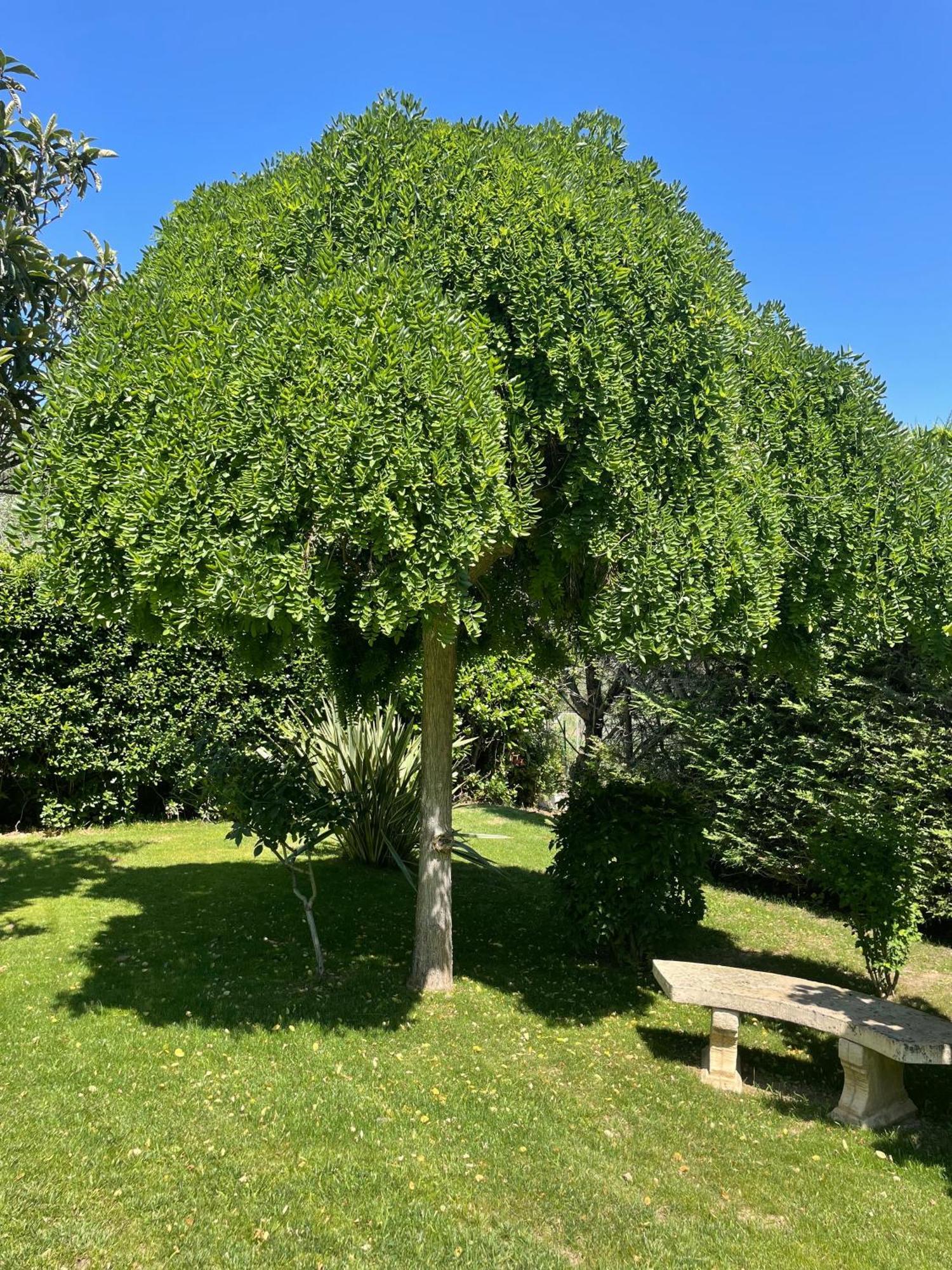 Le Clos Serein Le Beausset Esterno foto