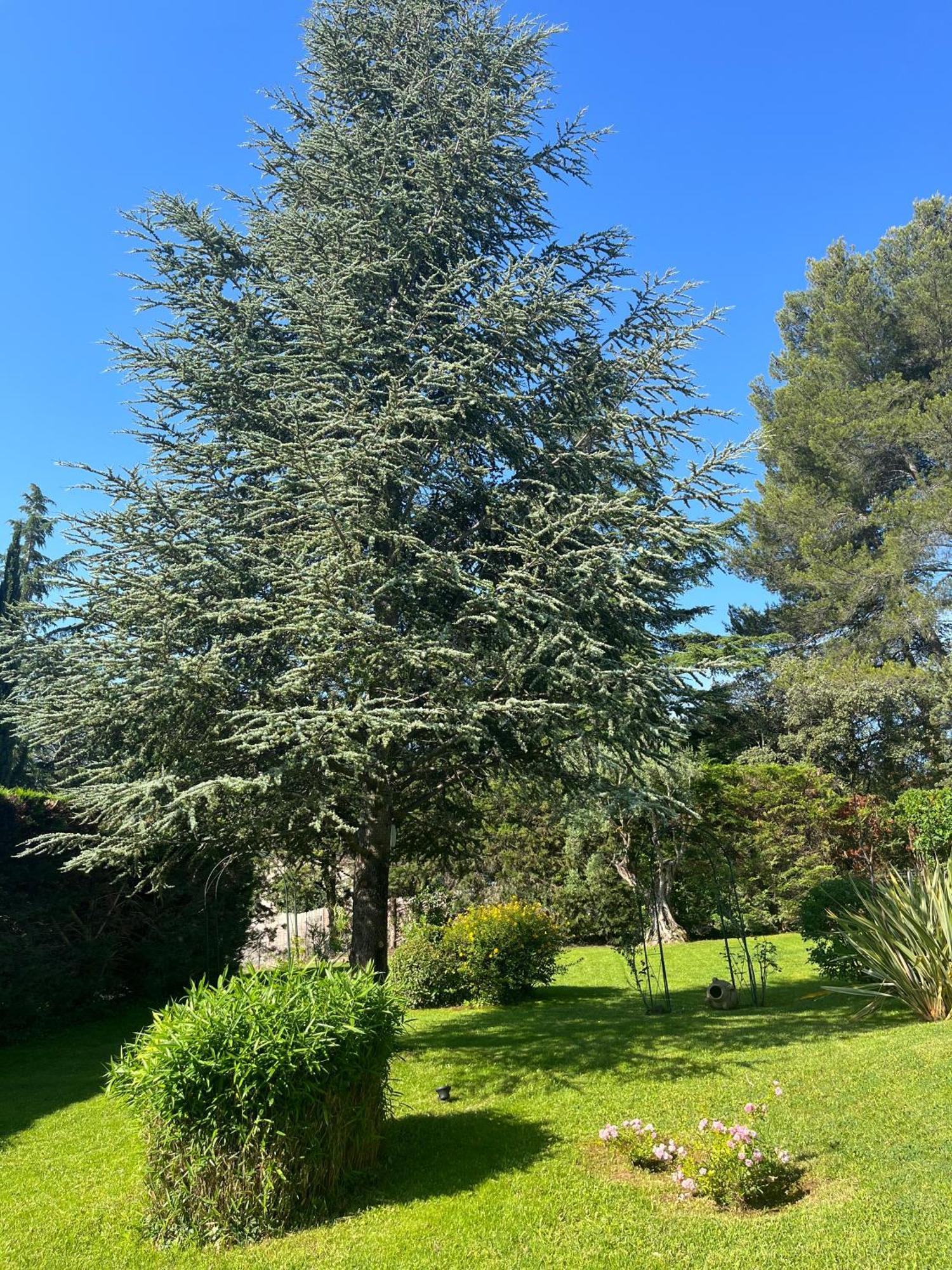 Le Clos Serein Le Beausset Esterno foto