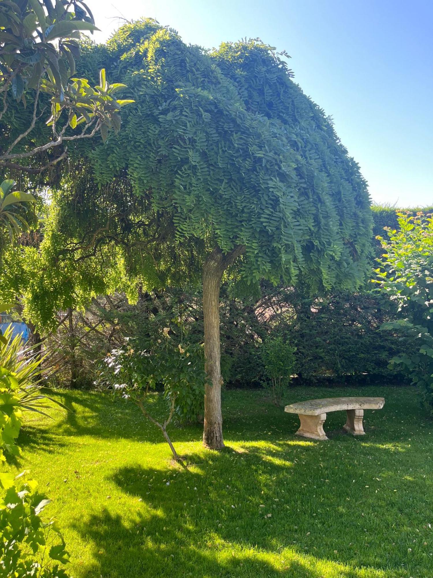 Le Clos Serein Le Beausset Esterno foto